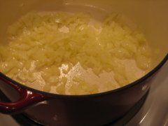 Onion Again