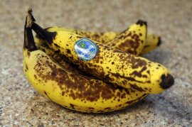 Got Bananas?