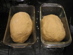Shape Into Loaves 