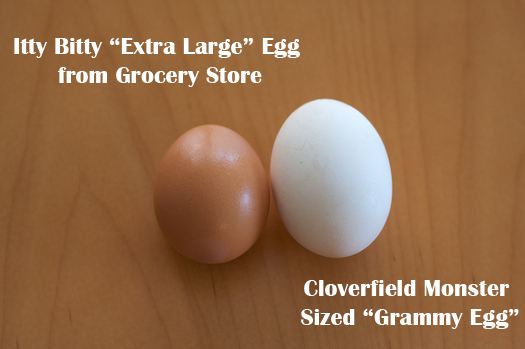 Large Eggs vs. Extra Large Eggs