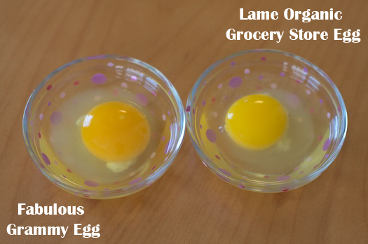 Organic Grudge Match Organic Grudge Match