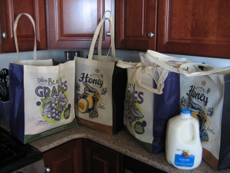 Confession:  I Even Bought Two Extra Canvas Bags