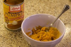 Can of Pumpkin Part 2 