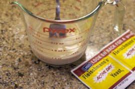 Dissolve Yeast & Sugar
